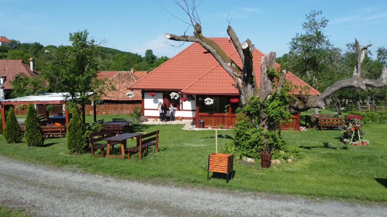 Etno Village Gostoljublje Kosjeric エクステリア 写真
