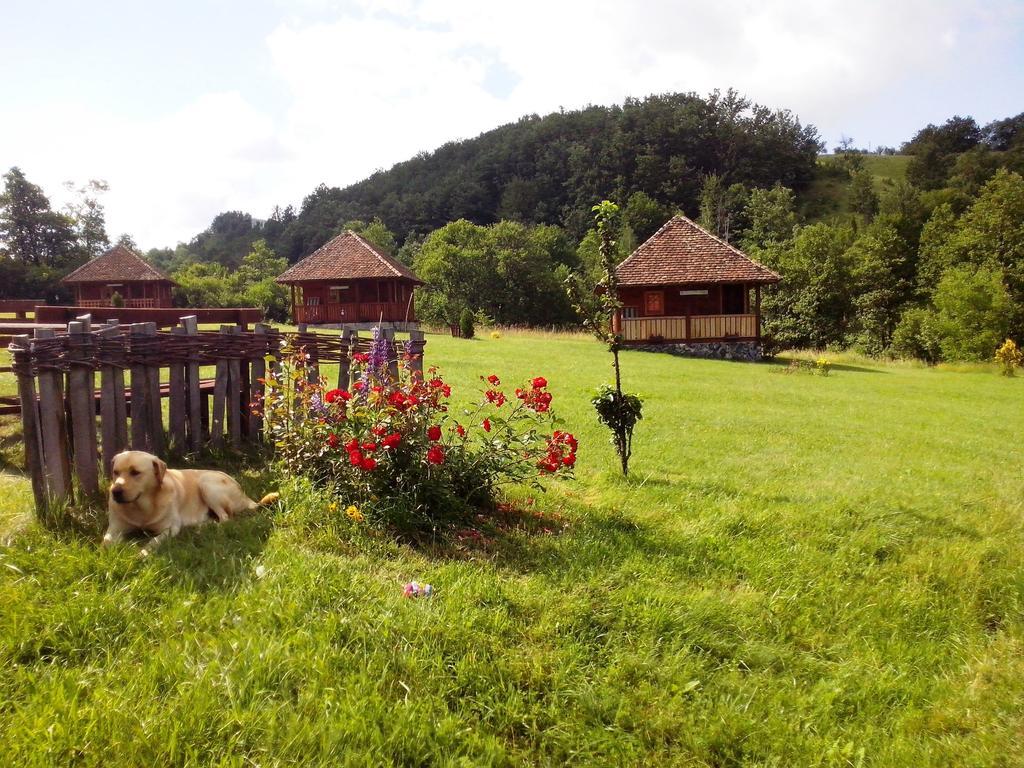 Etno Village Gostoljublje Kosjeric エクステリア 写真